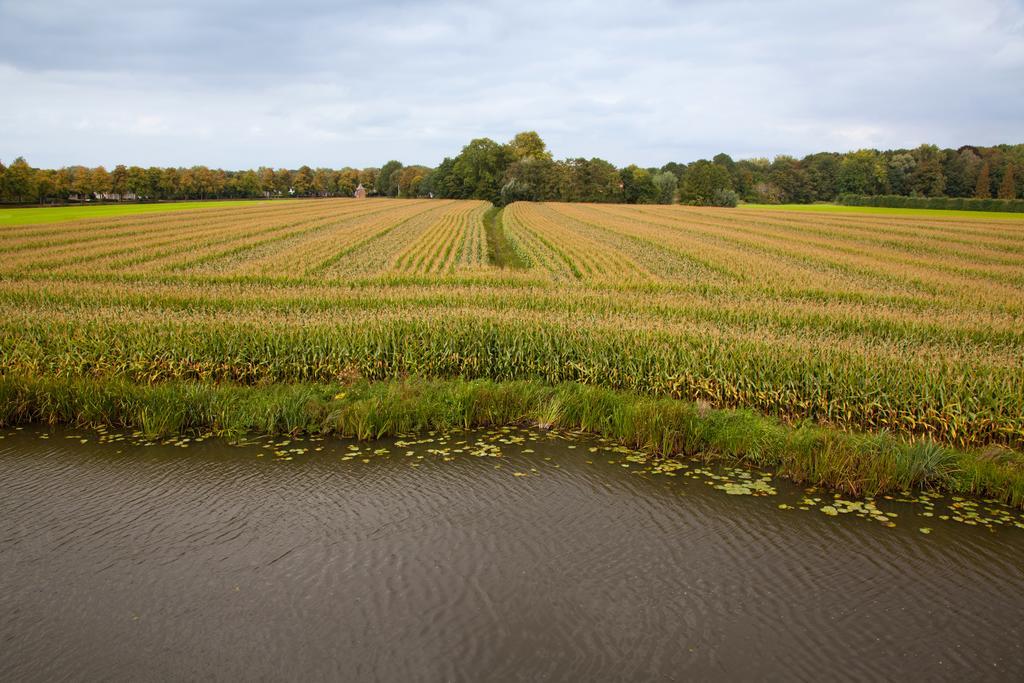 Het Wapen Van Harmelen Rum bild
